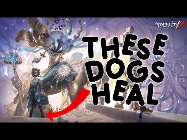 Why won't people let me Dog them? | Identity V Highlights