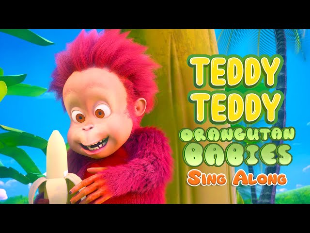 Teddy Teddy - Orangutan Babies | #SingAlong #NurseryRhymes #TeddyTeddy
