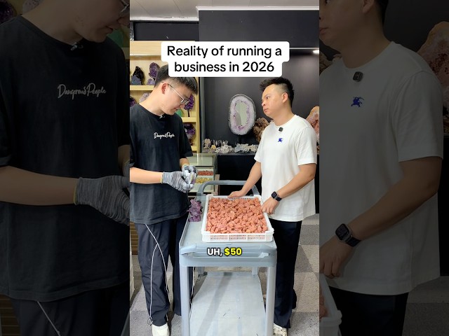This is the reality of running a business in 2026… #crystalwholesaler #funnycrystalseller #smallbiz