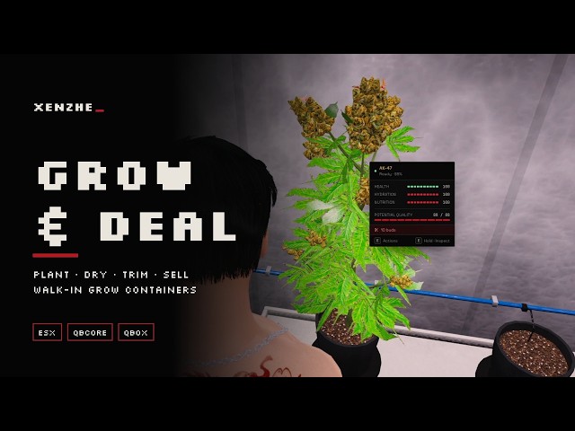 Build a Weed Empire on Your FiveM Server – Grow Rooms, Drying & Street Deals | Grow & Deal