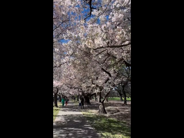 Spring, New Zealand