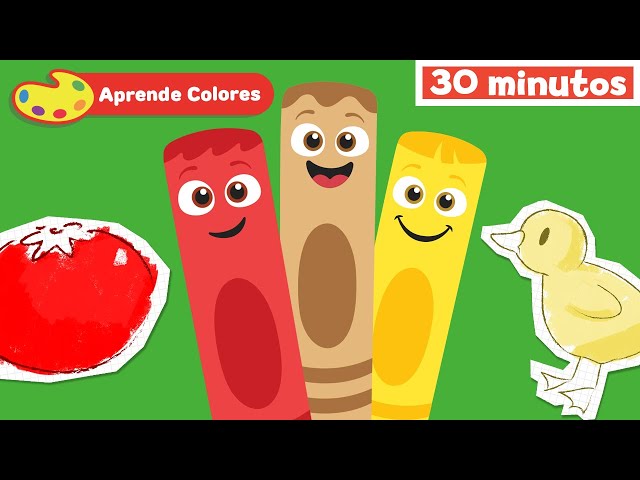 Aprende colores para bebés | La Pandilla de Colores | Educación para bebés | Mi Primera Universidad