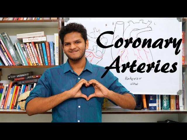Anuj Pachhel - Coronary Arteries | Blood Supply Of The Heart