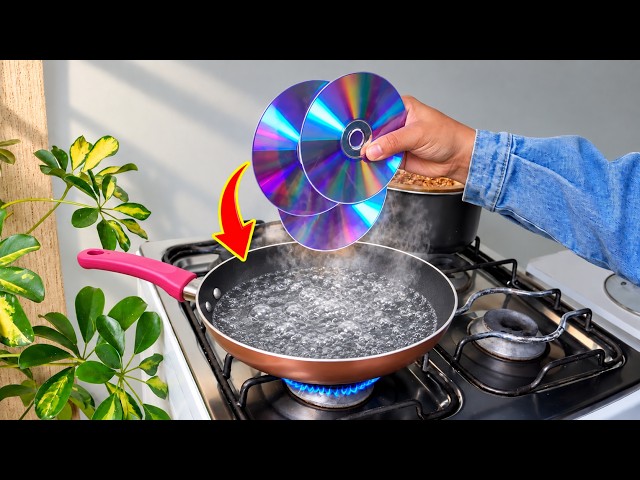 Don’t throw away old CD disc, collect them and turn them into dollars😱!! Creation Daily