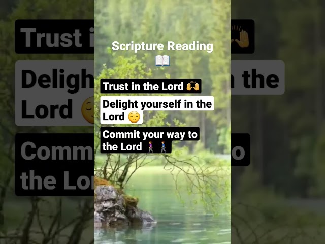 Trust in the Lord Scripture Reading #shorts #scripturereading #trustingod #psalms