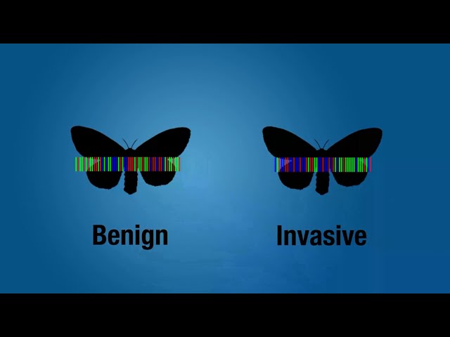 DNA Barcoding