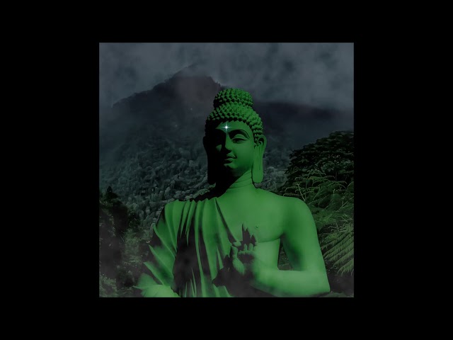 佛 - 叢林 (2022)