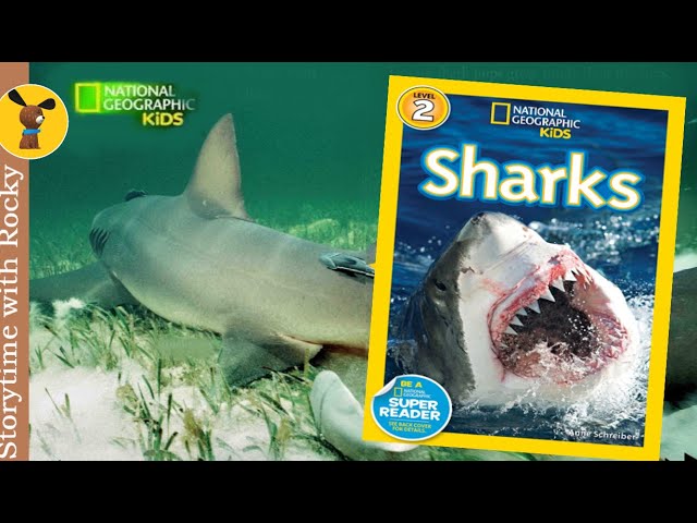 NATIONAL GEOGRAPHIC KIDS READERS: SHARKS