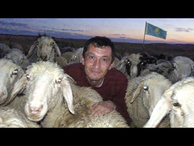 The Horrors of the Kazakh Internet