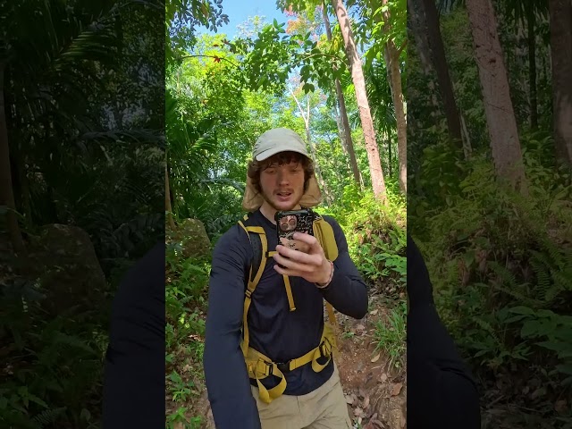 I found something impossible hidden in the jungle of Sri Lanka! 😱  #exploring #adventure #hiking