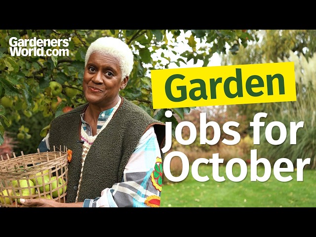 What to do in your garden RIGHT NOW! (October edition)