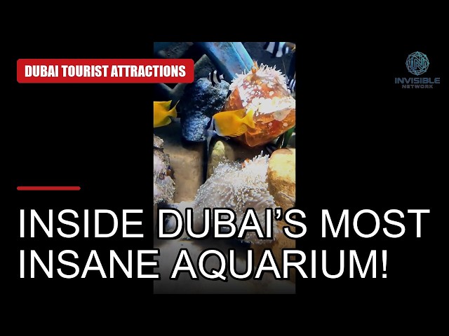 Inside Dubai’s Most INSANE Aquarium! 🦈 | Dubai Vlog #4