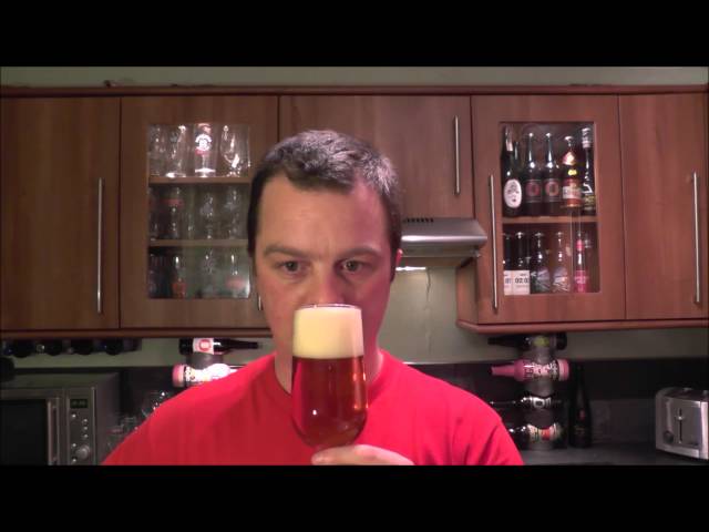Sly Fox Route 113 IPA By Sly Fox Brewing Company | American Craft Beer Review