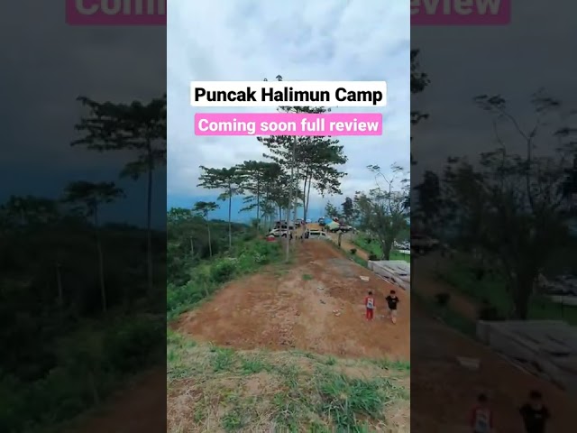 short escape di Puncak Halimun Camp, Campign ground Bogor yang lagi Hits