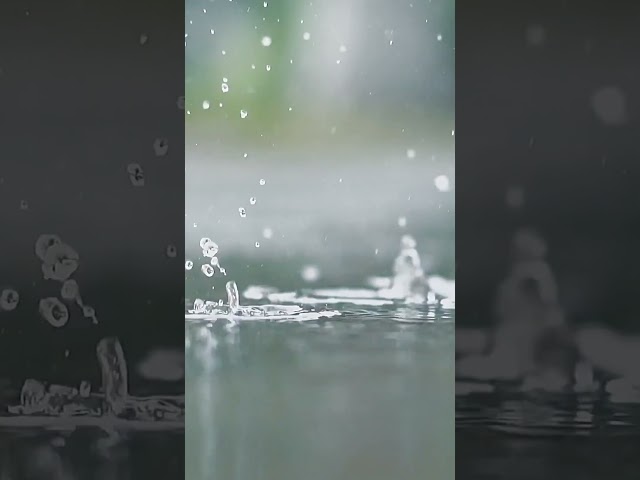 Unwind With Our Weather Lo-Fi For National Relaxation Day