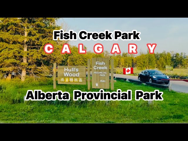 Fish Creek Park Calgary | Alberta provincial park | popular park in south Calgary, Alberta 