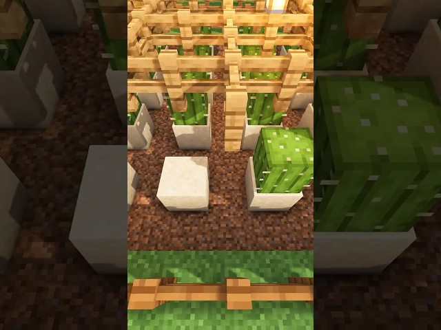 Farmland #minecraft