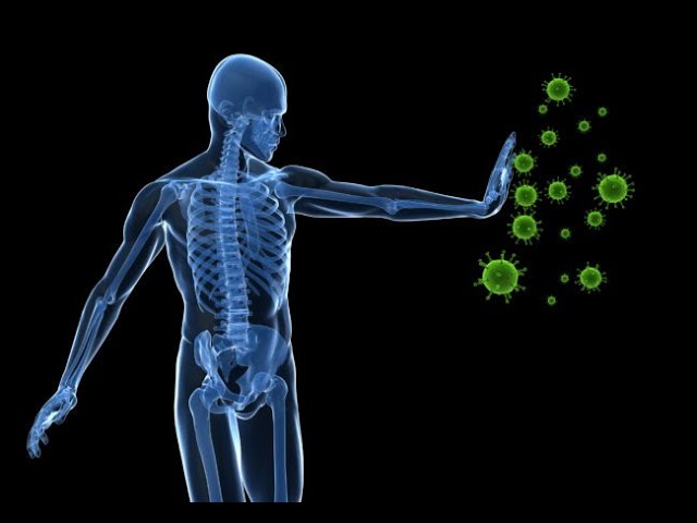 You Can Reset Your Entire Immune System In 72 Hours & It Won't Cost A Thing!!!