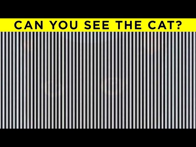How Good Are Your Eyes?
