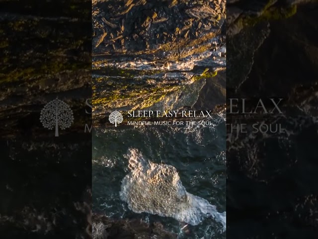 Tranquil Vibes: Relaxing Music Bliss ☁️🎼 #TranquilVibes #RelaxationBliss #shorts