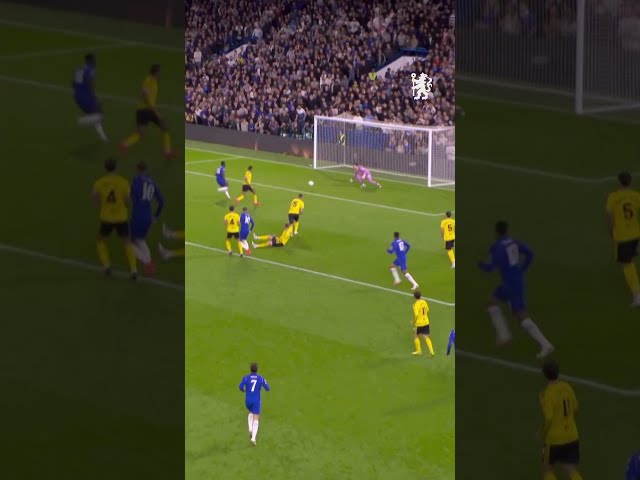 PALMER DRAGS BLUES BACK FROM BRINK!