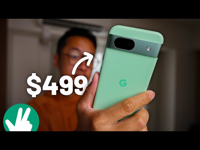 Pixel 8a Real World Camera Test: With the assist(ant)