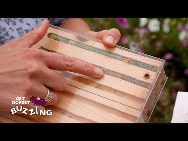 Kate Bradbury - How to make a bee hotel