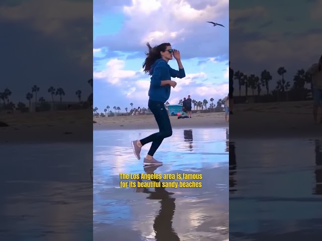 VENICE [Venice Beach] 🌊 🌞 Los Angeles, California 🌴 #losangeles #california #venicebeach
