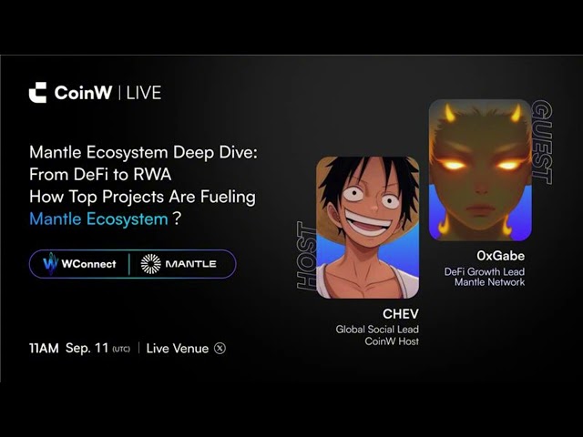 Mantle Ecosystem Deep Dive: From DeFi to RWA How Top Projects Are Fueling Mantle Ecosystem