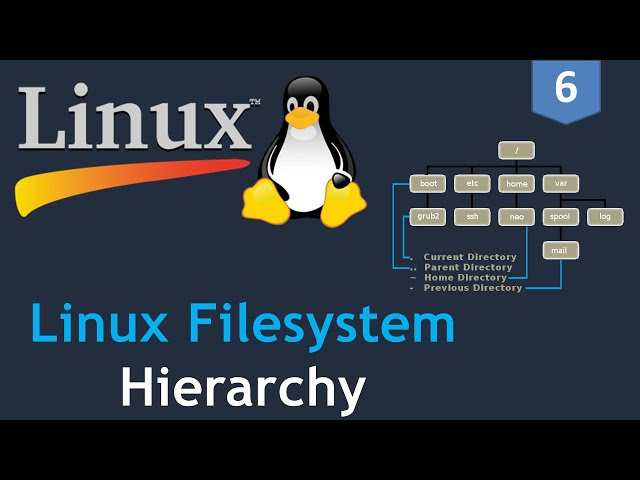 #6 - Linux for DevOps |Linux Filesystem Hierarchy