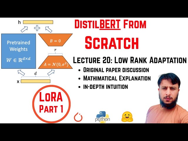 DistilBERT From Scratch | Lec 20: Low Rank Adaptation (LoRA) | PART 1