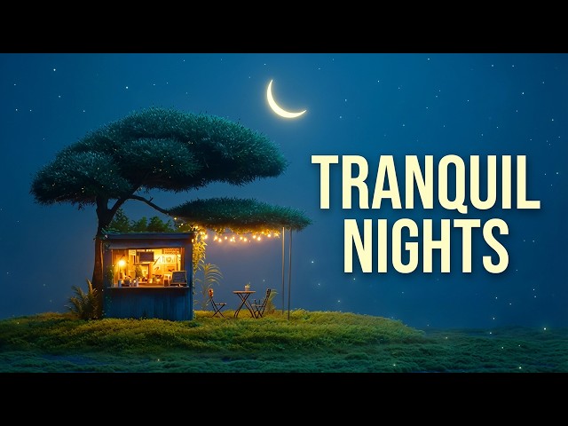 Had a Long Day? Quiet Night Music to Help You Unwind Before Sleep
