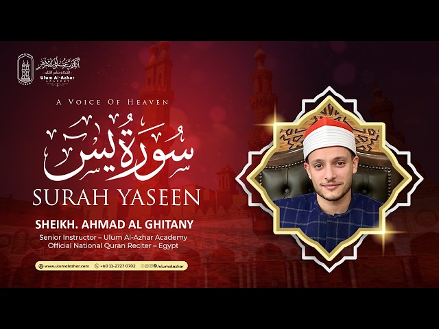 Surah Yasin | A Recitation for Moments When You Need Ease | Quran Recitation