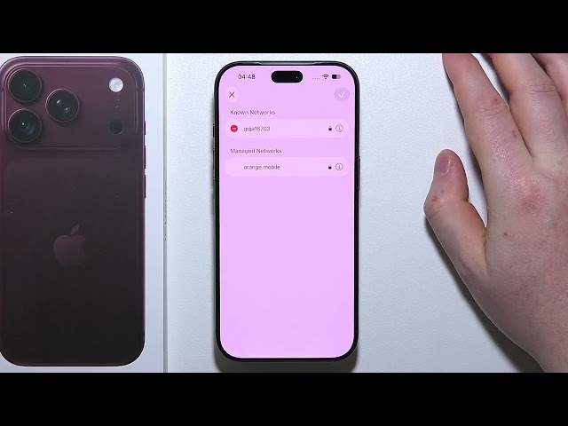 iPhone 18 Pro: How To Remove Saved WiFi Networks