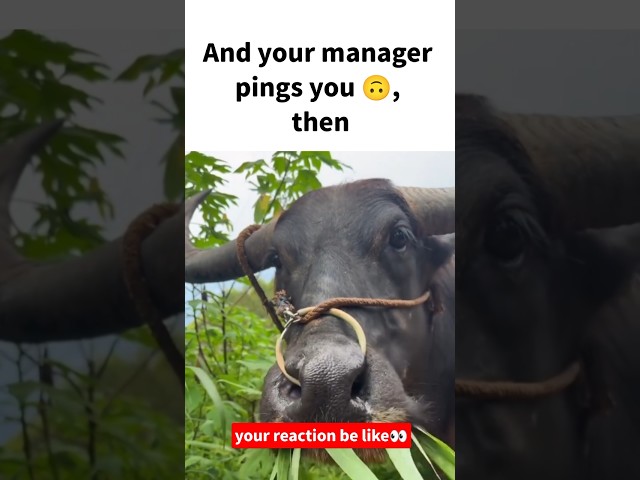 Your reaction be like 🙃#ytshorts #viralvideo #memes