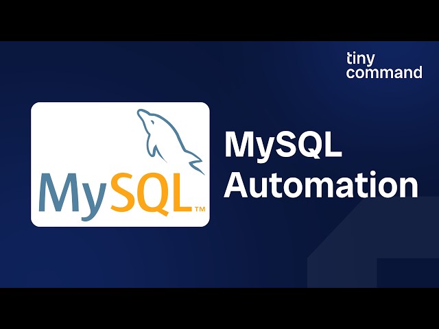 Automate Your MySQL Database With No-Code Workflows