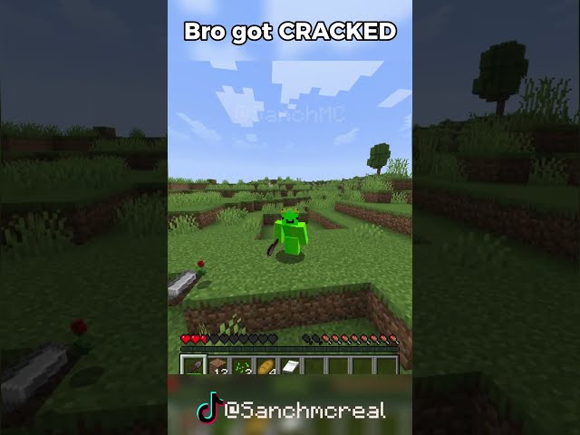 Minecraft but I get CRACKED if I touch the color green ✅😳