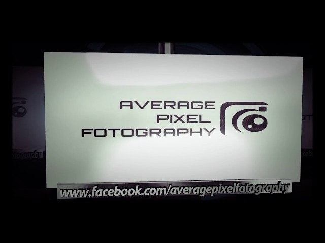 Official Logo - Average Pixel Fotography