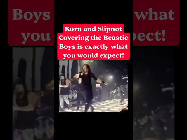Best beastie boys cover #korn #slipnot #metal #numetal #music #coversong #beastieboys #rap #hiphop