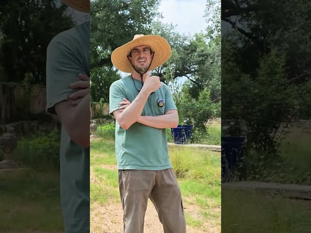 Are You Accidentally Helping Weeds Grow?