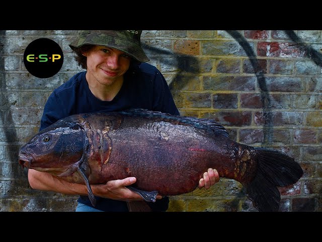 Alfie Russell | Life and Carp Fishing | Urban Carping