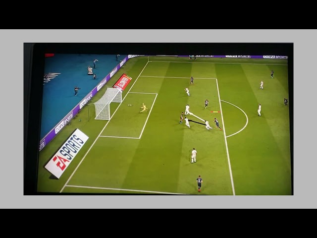 fifashorts