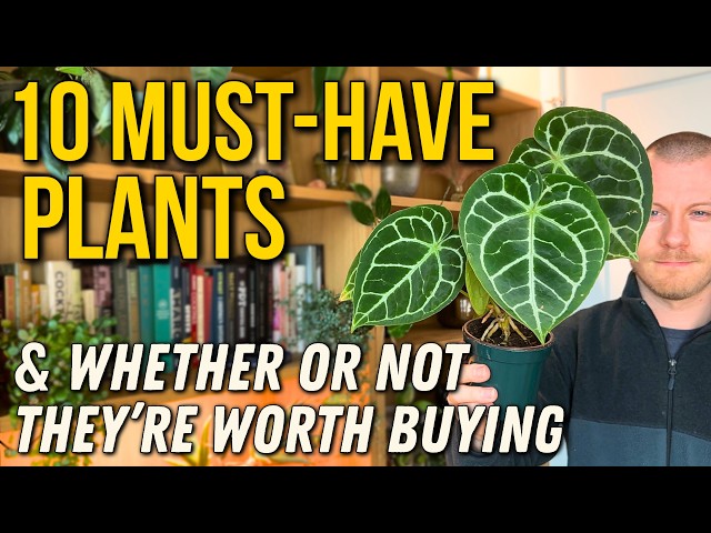 10 “Must-Have” Plants (And Whether Or Not They're Actually Worth Buying)