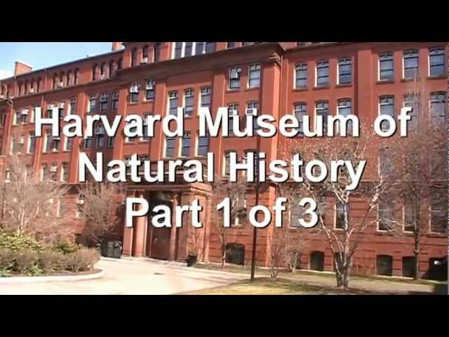 Harvard Museum of Natural History (Part 1 of 3)