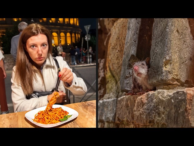 Best Of The Internet (2025)
