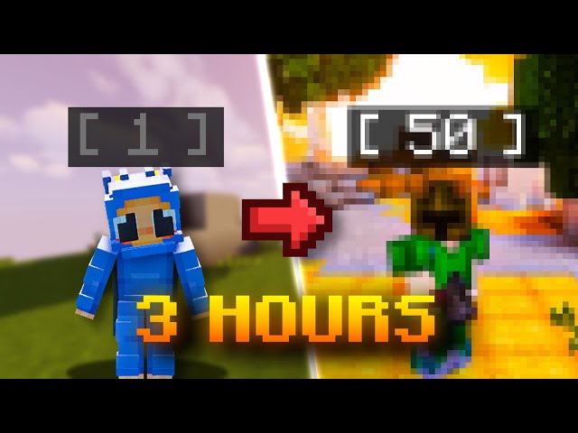 Early Game Progression Guide (UPDATED) | Hypixel Skyblock