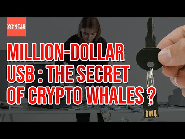 Bitcoin Cold Storage Explained — The $50,000 USB Trick Crypto Billionaires Use
