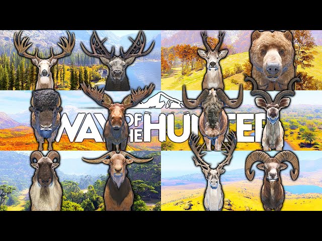 6 Maps 12 Five Stars | Way of the Hunter
