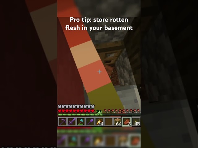 That’s the only thing in my basement… #shorts #minecraft