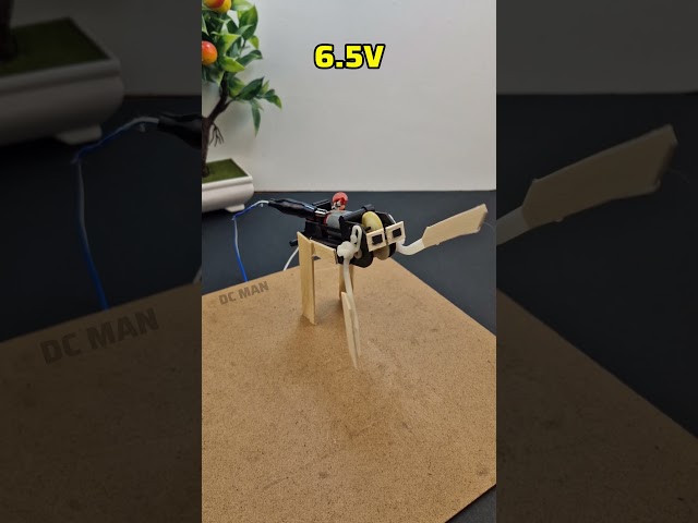Gear-driven dog | #dcmotor #techexperiments #gear #gearmotor #motor #tech #experiment